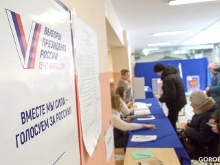 Эксперт рассказала, что в Башкирии на выборах президента работали более 3 тысяч блогеров-наблюдателей