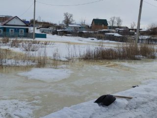 В Башкирии дом затопило талыми водами